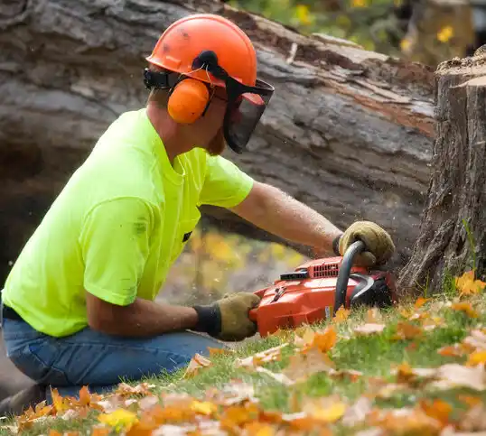 tree services Yorkville